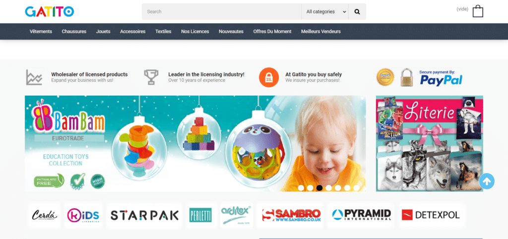Top des meilleurs fournisseurs de dropshipping en e-commerce top 10 des fournisseurs dropshipping de ecommerce - gatito.pl
