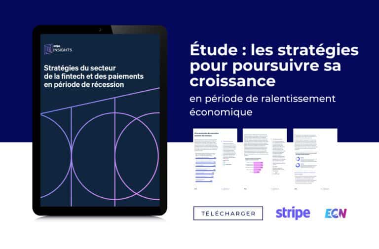 header ebook stripe croissance