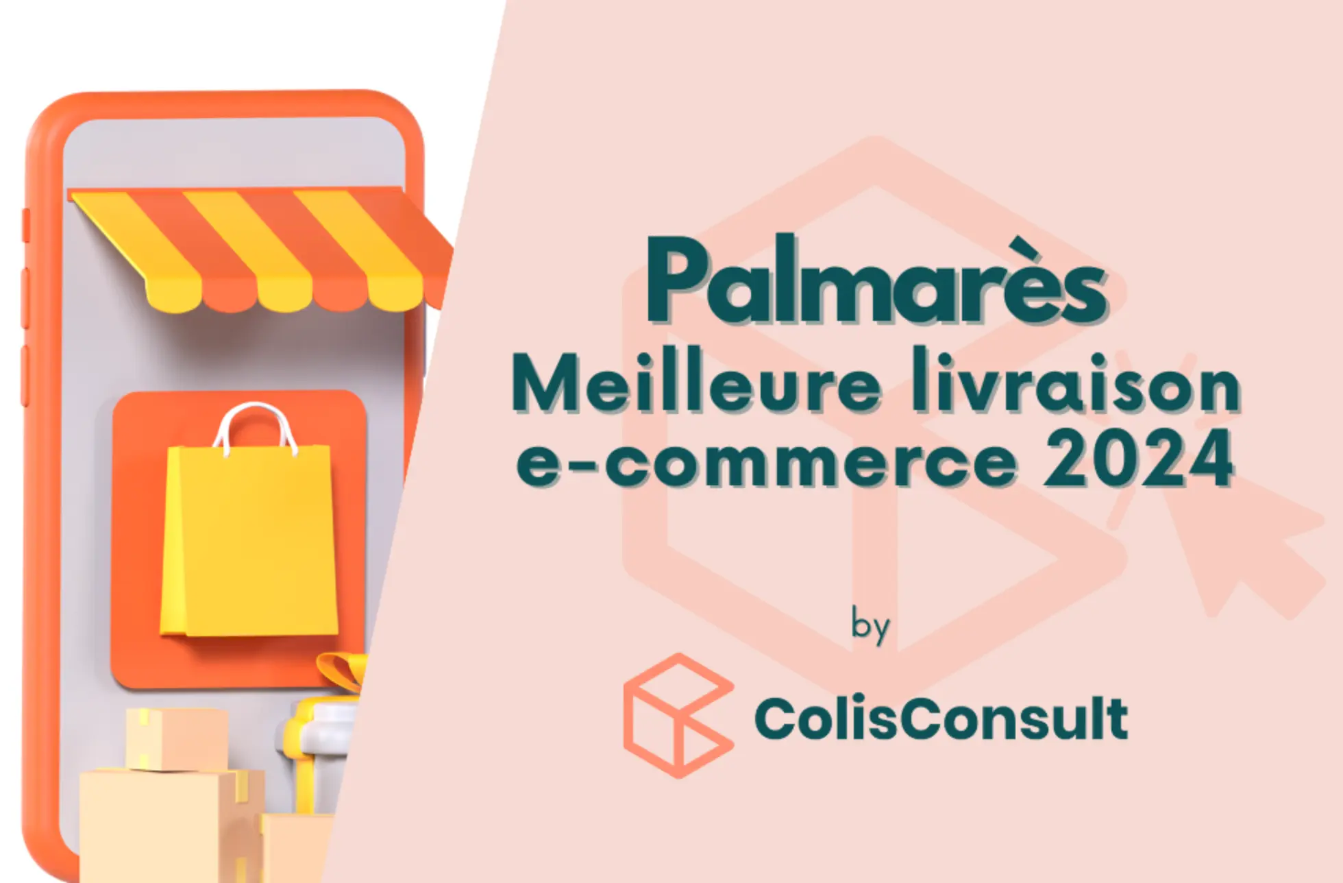 Le Palmarès Meilleure livraison e-commerce 2024 : tarifs, services, transporteurs, vous saurez tout sur la livraison de plus de 500 sites e-commerces