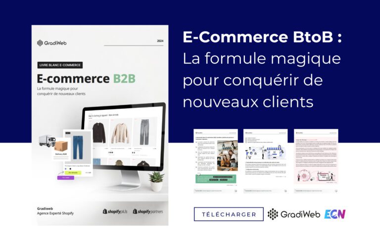 ebook gradiweb ecommerce btob