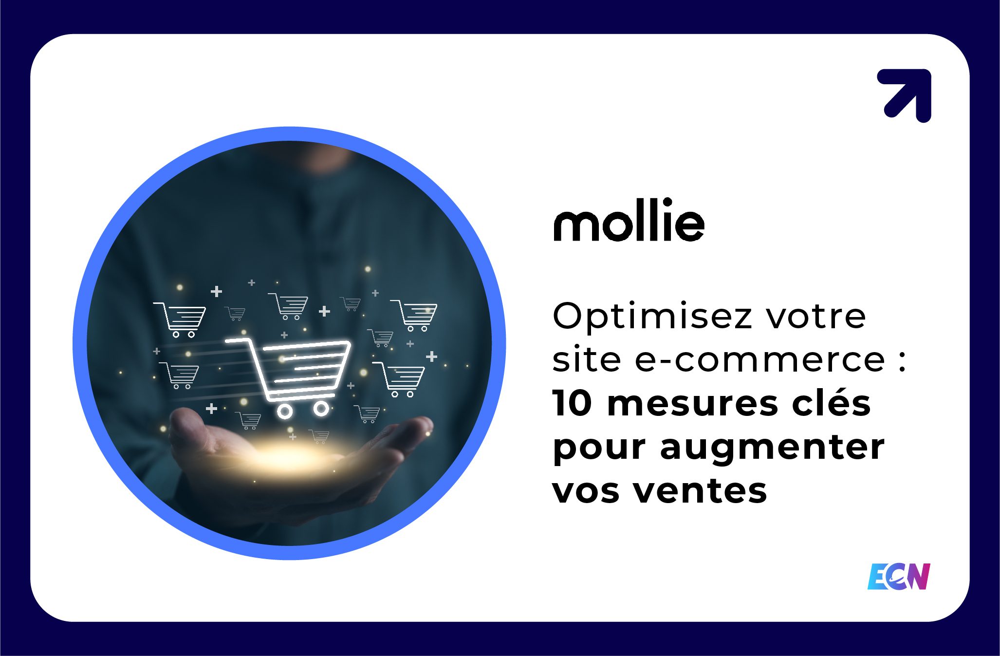 mollie infographies ecommerce